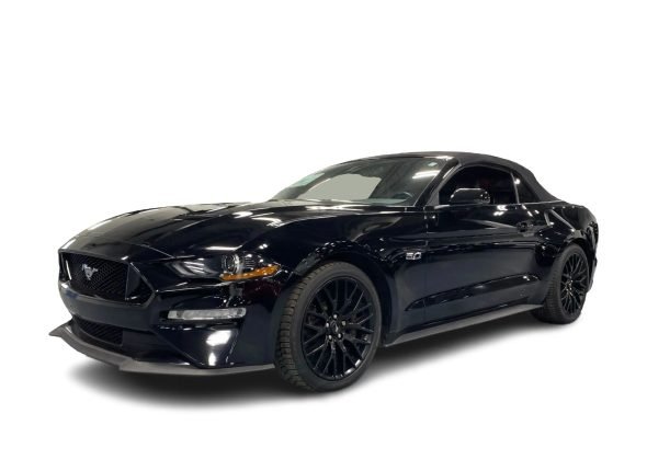2019-Ford-Mustang-8727406610616872