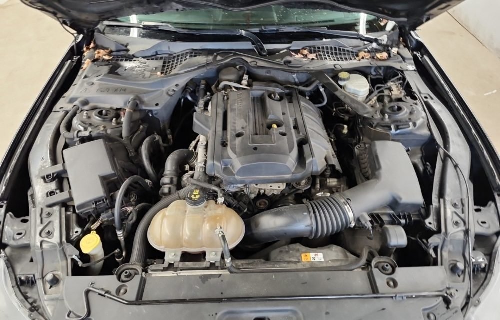2015-Ford-Mustang-4428050122132501