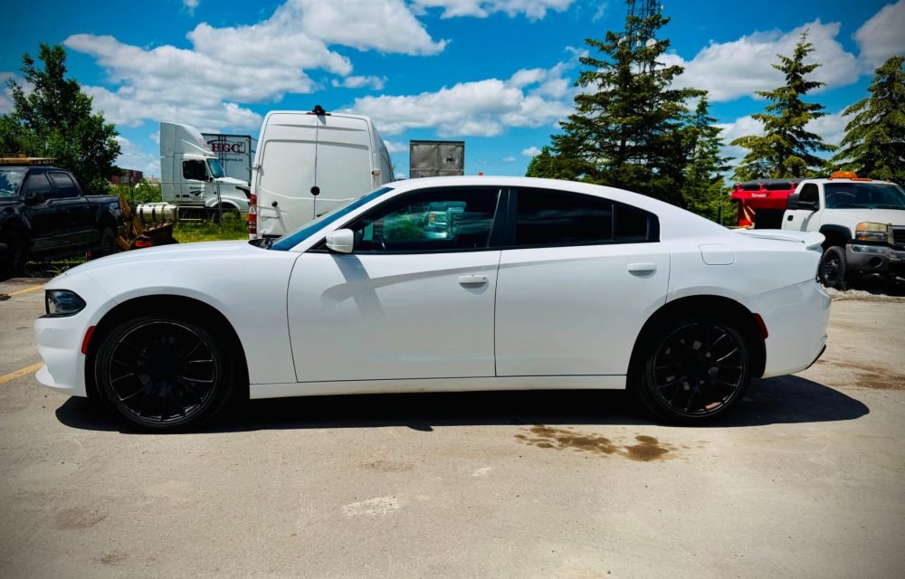2020-Dodge-Charger-7016930083831792